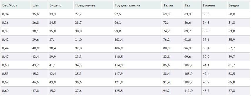 Замеры тела в бодибилдинге